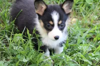 processed/a2e33f5f-e05b-4ed3-9b38-fe82ee7106b5/facility/36de68e6-d77a-4910-bdec-bfe4e09e37f9