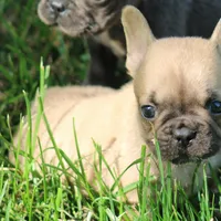 processed/a2e33f5f-e05b-4ed3-9b38-fe82ee7106b5/facility/bb8ea7f5-7a10-49ff-82ef-e1a81f6feb4c