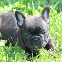 processed/a2e33f5f-e05b-4ed3-9b38-fe82ee7106b5/facility/cb0fa485-1870-40e9-9e95-493439c078ea