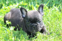 processed/a2e33f5f-e05b-4ed3-9b38-fe82ee7106b5/facility/cb0fa485-1870-40e9-9e95-493439c078ea