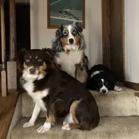 processed/a2e7356f-5e5c-41e6-8f96-07608ce3492a/facility/28bf7857-0df8-473e-b8bf-d9af54e475b5