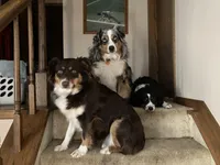 processed/a2e7356f-5e5c-41e6-8f96-07608ce3492a/facility/28bf7857-0df8-473e-b8bf-d9af54e475b5