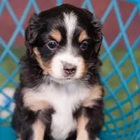 processed/a2e7356f-5e5c-41e6-8f96-07608ce3492a/facility/6b3bc85d-ff21-42a5-9ab2-49e090efadc1