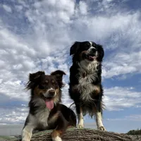 processed/a2e7356f-5e5c-41e6-8f96-07608ce3492a/facility/76a6e4e1-d3cf-41ae-8f52-9b4423e7a8a3