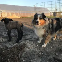 processed/a2e7356f-5e5c-41e6-8f96-07608ce3492a/facility/7c735724-203f-41d8-b3ec-889b34e470b0