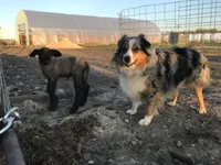 processed/a2e7356f-5e5c-41e6-8f96-07608ce3492a/facility/7c735724-203f-41d8-b3ec-889b34e470b0