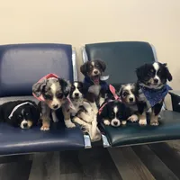 processed/a2e7356f-5e5c-41e6-8f96-07608ce3492a/facility/97bf82f0-7fb3-474b-97fa-7399bbde4fed