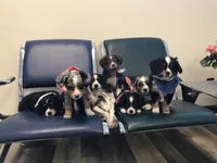 processed/a2e7356f-5e5c-41e6-8f96-07608ce3492a/facility/97bf82f0-7fb3-474b-97fa-7399bbde4fed