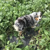 processed/a2e7356f-5e5c-41e6-8f96-07608ce3492a/facility/f684d600-56f8-41f6-bad9-9bfe87814d6c