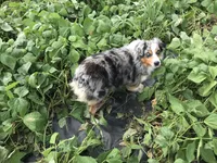 processed/a2e7356f-5e5c-41e6-8f96-07608ce3492a/facility/f684d600-56f8-41f6-bad9-9bfe87814d6c