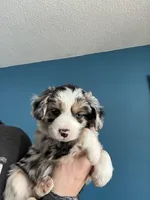 processed/a2e7356f-5e5c-41e6-8f96-07608ce3492a/listing/a1382c04-40c8-4e14-b19e-a84e6130cc1c/12d7fc8c-10e1-4fd1-a926-315e5cac4a44