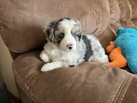 processed/a2e7356f-5e5c-41e6-8f96-07608ce3492a/listing/a1382c04-40c8-4e14-b19e-a84e6130cc1c/b0ee4caf-cb27-4e8d-93ff-6388097bcd43