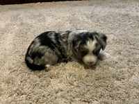 processed/a2e7356f-5e5c-41e6-8f96-07608ce3492a/listing/a1382c04-40c8-4e14-b19e-a84e6130cc1c/cdeb5ae8-4f37-4eef-a6d2-b437b5cdad3b