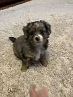 processed/a2e7356f-5e5c-41e6-8f96-07608ce3492a/listing/c98817dc-ff77-4fdd-8b29-2c3e4c9fc562/2554b8c5-e8eb-4db0-b9d5-0f9809bf5131