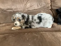 processed/a2e7356f-5e5c-41e6-8f96-07608ce3492a/listing/c98817dc-ff77-4fdd-8b29-2c3e4c9fc562/7a339f16-7bad-4676-a1c4-c535b9821bf9