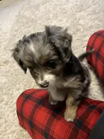 processed/a2e7356f-5e5c-41e6-8f96-07608ce3492a/listing/c98817dc-ff77-4fdd-8b29-2c3e4c9fc562/a3402cc0-0b8b-4306-8ec3-82af89dcfa98