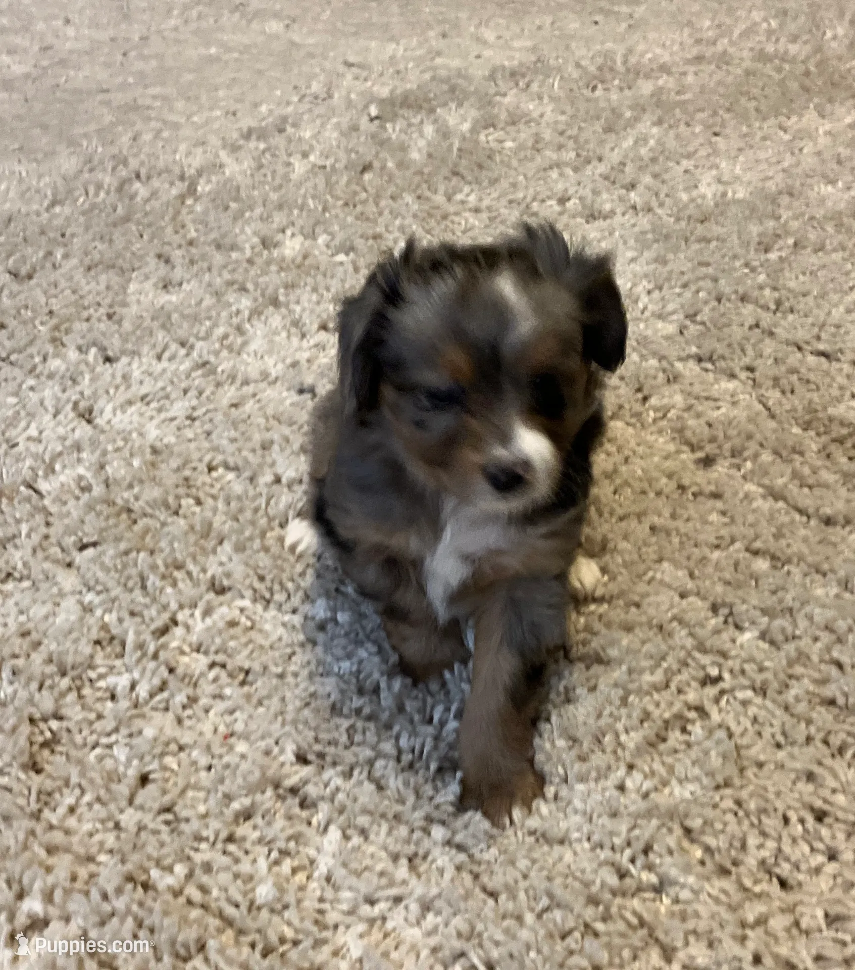 processed/a2e7356f-5e5c-41e6-8f96-07608ce3492a/listing/c98817dc-ff77-4fdd-8b29-2c3e4c9fc562/b05ac181-2841-467f-8b0f-a789e60bb214