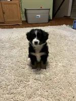 processed/a2e7356f-5e5c-41e6-8f96-07608ce3492a/listing/d8d950e3-7d8b-4d44-aaf6-728acaeb88de/6ea26914-cd07-4efe-9d76-eaa1579744f7