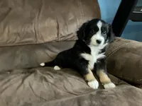 processed/a2e7356f-5e5c-41e6-8f96-07608ce3492a/listing/d8d950e3-7d8b-4d44-aaf6-728acaeb88de/ecfeabe7-f1e0-485a-9e20-0ef0578d3186