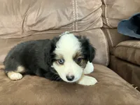 processed/a2e7356f-5e5c-41e6-8f96-07608ce3492a/listing/e9d90041-01e1-458a-b157-7a490f273937/137d233b-c154-45e3-a955-e6bf08331459