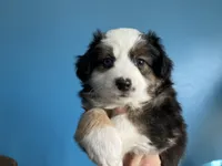 processed/a2e7356f-5e5c-41e6-8f96-07608ce3492a/listing/e9d90041-01e1-458a-b157-7a490f273937/3ffdadd7-5fe1-4a99-aa6c-2f4674298e3d