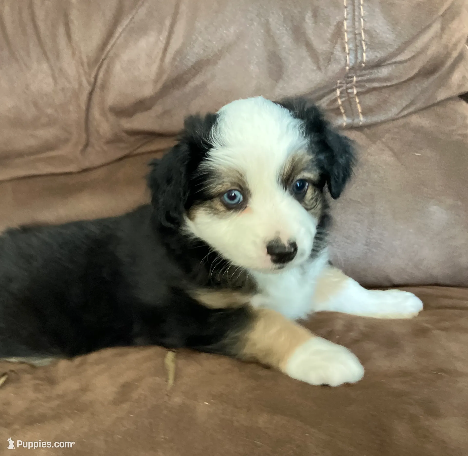 processed/a2e7356f-5e5c-41e6-8f96-07608ce3492a/listing/e9d90041-01e1-458a-b157-7a490f273937/5ca831ec-d8f7-4689-bc75-2482418cf2c1