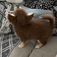 processed/a2ec80ab-7953-4b3f-9de7-886e7f73a069/facility/10540a2f-a406-4b41-a8e0-7ab97448828b