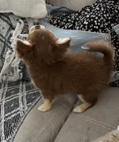 processed/a2ec80ab-7953-4b3f-9de7-886e7f73a069/facility/10540a2f-a406-4b41-a8e0-7ab97448828b