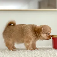 processed/a2ec80ab-7953-4b3f-9de7-886e7f73a069/facility/4475c02f-a14f-46cb-8b5d-6e7bf699c9c9