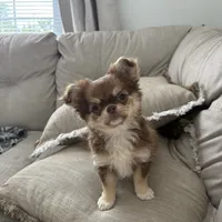 processed/a2ec80ab-7953-4b3f-9de7-886e7f73a069/facility/4c5bd14b-4b9d-4649-acdc-feda1a968ede