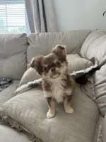 processed/a2ec80ab-7953-4b3f-9de7-886e7f73a069/facility/4c5bd14b-4b9d-4649-acdc-feda1a968ede