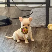 processed/a2ec80ab-7953-4b3f-9de7-886e7f73a069/facility/849bd9c1-ea1f-4353-8d36-26a1ea07ad6e