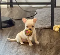 processed/a2ec80ab-7953-4b3f-9de7-886e7f73a069/facility/849bd9c1-ea1f-4353-8d36-26a1ea07ad6e