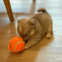 processed/a2ec80ab-7953-4b3f-9de7-886e7f73a069/facility/9a36e6bf-b39b-4281-b928-d75b8c342642