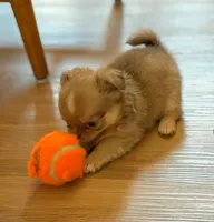 processed/a2ec80ab-7953-4b3f-9de7-886e7f73a069/facility/9a36e6bf-b39b-4281-b928-d75b8c342642