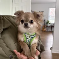 processed/a2ec80ab-7953-4b3f-9de7-886e7f73a069/facility/d1072ddb-5171-48c0-8a1a-11b44e023a25