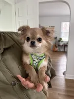 processed/a2ec80ab-7953-4b3f-9de7-886e7f73a069/facility/d1072ddb-5171-48c0-8a1a-11b44e023a25