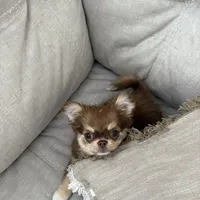 processed/a2ec80ab-7953-4b3f-9de7-886e7f73a069/facility/f0ebf378-7981-4d51-afbf-f983d0ea6301