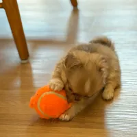 processed/a2ec80ab-7953-4b3f-9de7-886e7f73a069/facility/fa3701e3-7e61-4c24-b4c6-f069f16ad360