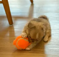 processed/a2ec80ab-7953-4b3f-9de7-886e7f73a069/facility/fa3701e3-7e61-4c24-b4c6-f069f16ad360