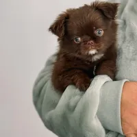 processed/a2ec80ab-7953-4b3f-9de7-886e7f73a069/facility/fe982d01-0bd8-4568-8153-04eab6f26ff6