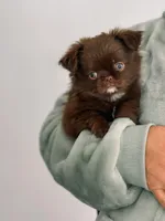 processed/a2ec80ab-7953-4b3f-9de7-886e7f73a069/facility/fe982d01-0bd8-4568-8153-04eab6f26ff6