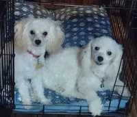 processed/a2f6151f-9466-4997-9eee-58c8d099d4d2/facility/30885001-86a0-4678-b79e-bd33b07c6ff6