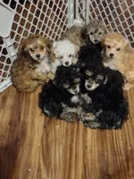 processed/a2f6151f-9466-4997-9eee-58c8d099d4d2/facility/85965f94-0ddf-4670-b68b-31280b605fd3