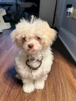 processed/a2f6151f-9466-4997-9eee-58c8d099d4d2/facility/a0215128-8e66-4dcd-8627-88478dbddbd5