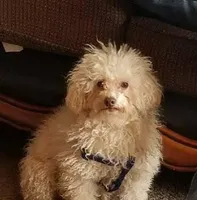 processed/a2f6151f-9466-4997-9eee-58c8d099d4d2/facility/aff3430f-5bf5-486a-a127-6a31d9aa945a