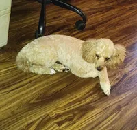 processed/a2f6151f-9466-4997-9eee-58c8d099d4d2/facility/ccdcd9e8-90e1-4c5c-b52a-dde5ad9e5cb9