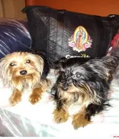 processed/a2f6151f-9466-4997-9eee-58c8d099d4d2/facility/ce4d28b3-bf60-4c5e-bc2e-b6dcf34d6dff