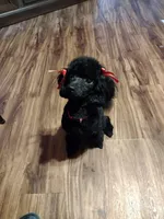 processed/a2f6151f-9466-4997-9eee-58c8d099d4d2/facility/d1d864ef-dcf9-4da1-bc44-751aa1e35298