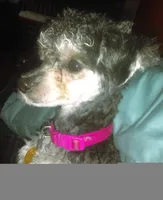 processed/a2f6151f-9466-4997-9eee-58c8d099d4d2/facility/f5b2f1db-e64a-4050-9375-dd4ddd4f3d6a